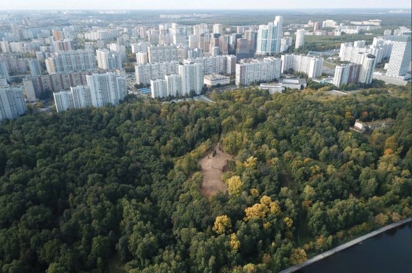 Филевский парк Москва