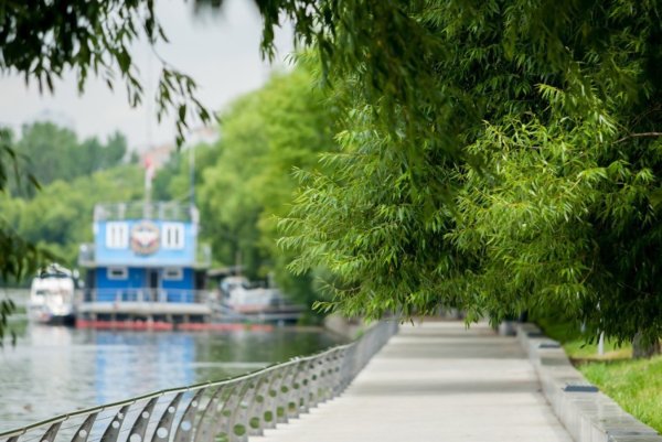 Парк Филевский парк