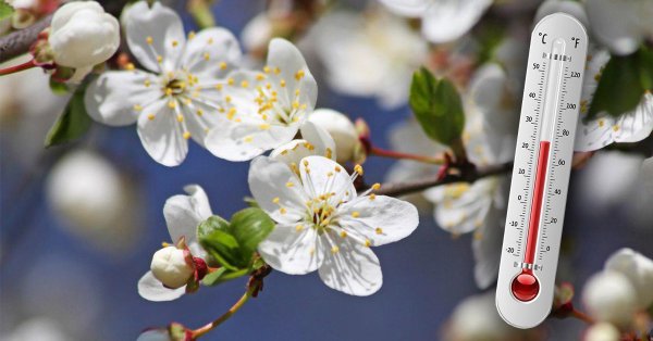Весеннее тепло май