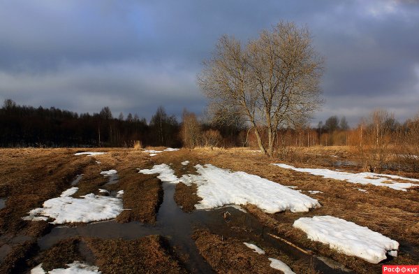 Хмурая Весна