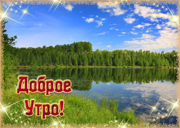 Открытки с добрым утром с лесом