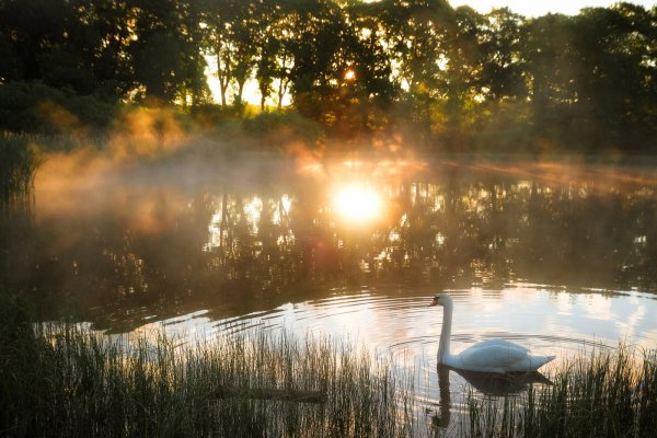 Солнечное утро на озере