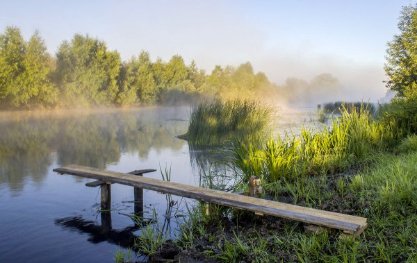 Летнее утро на реке
