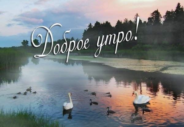 Утреннее озеро с добрым утром