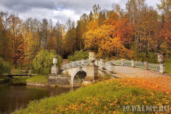 Павловский парк осенью Санкт-Петербург