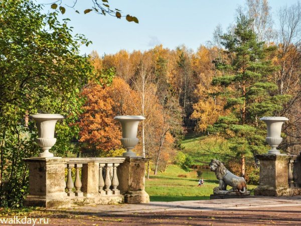 Павловский парк осенью Санкт-Петербург