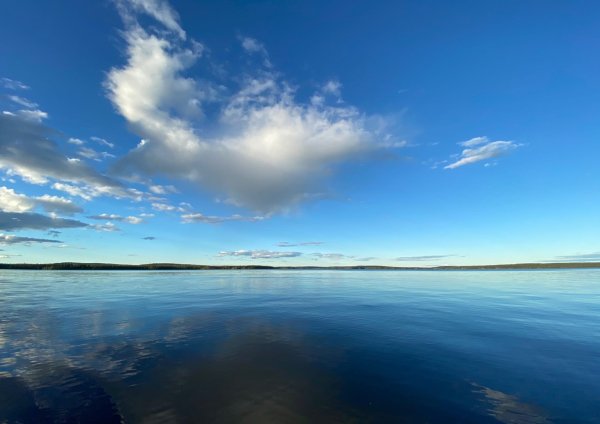 Озеро Куйто Карелия