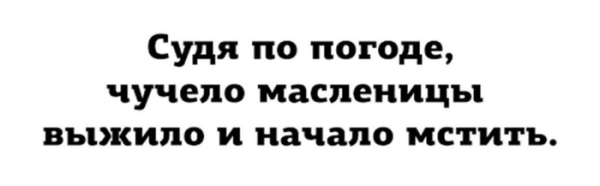 Судя по погоде чучело Масленицы выжило и начало мстить картинки