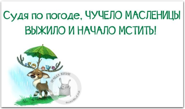 Судя по погоде чучело Масленицы выжило и начало мстить картинки