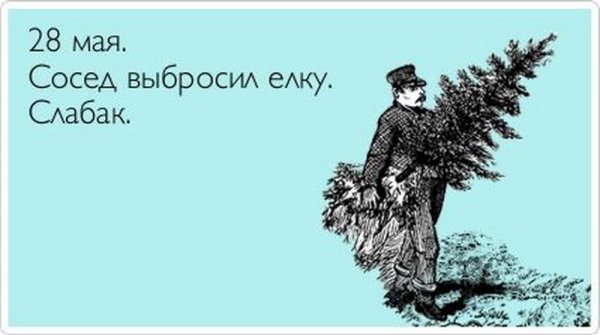 А ты выбросил елку