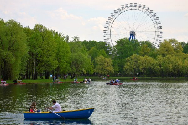Измайловский лесопарк Москва