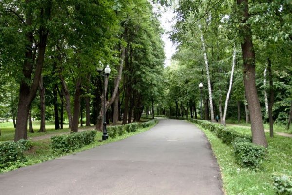Центральная аллея Измайловского парка