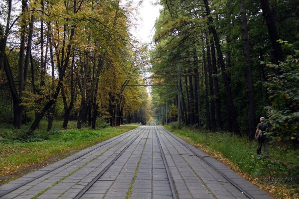 Измайловский парк Москва