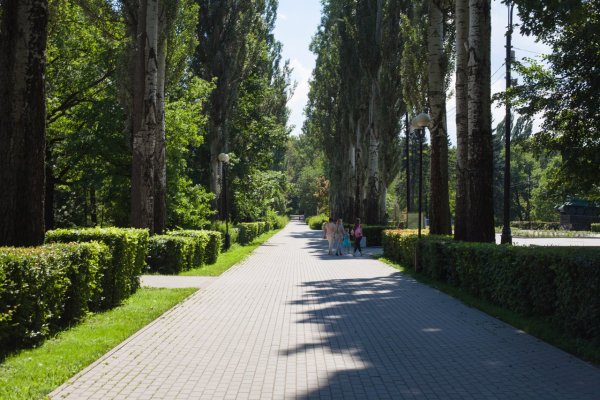 Главная аллея Измайловский парк