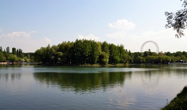 Москва Измайловский лесопарк площадь