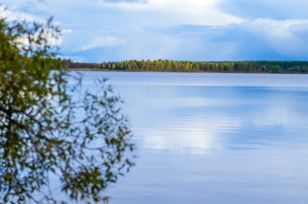 Озеро белое Шатурский район