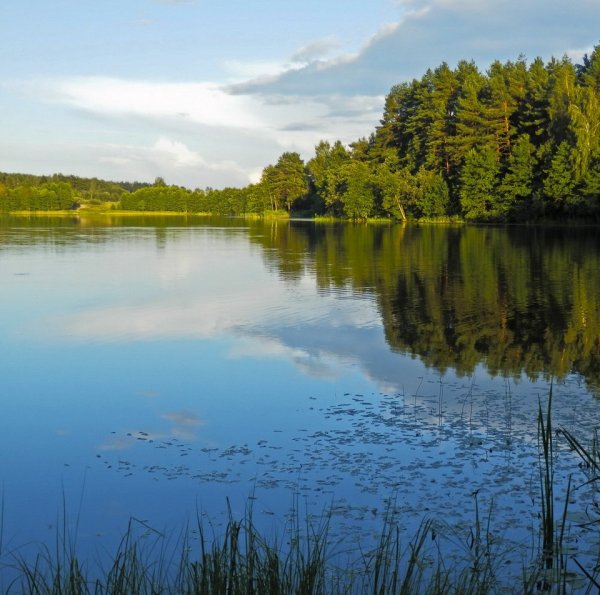 Белое озеро Шатура