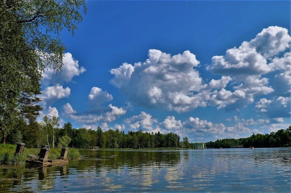 Белое озеро Московская область