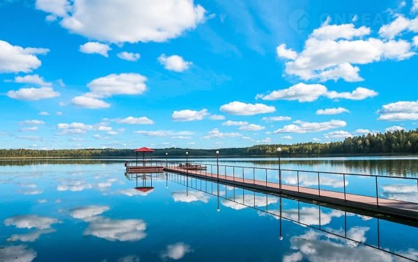 Белое озеро Шатура