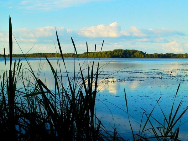 Белое озеро Егорьевский район