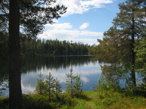 Белое озеро Московская область Шатурский район