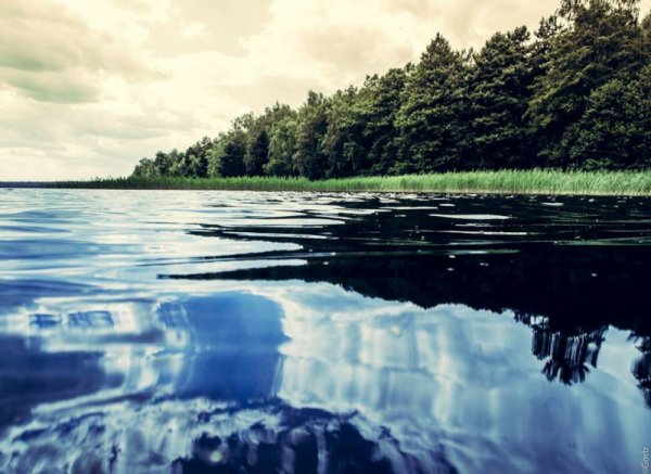 Белое озеро озеро