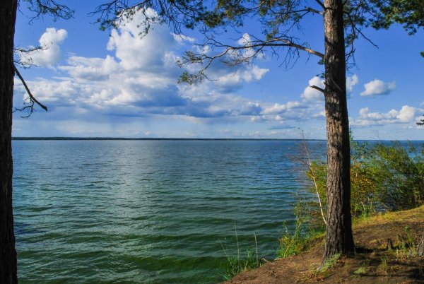 Озеро белое Шатурский район