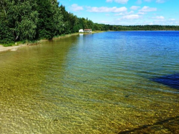 Белое озеро Николаевский район Ульяновская область