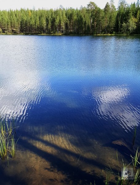 Белое озеро Шатура