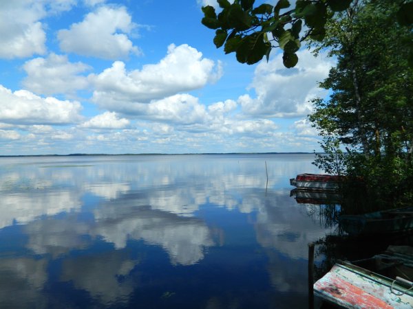 Оз белое Белозерск