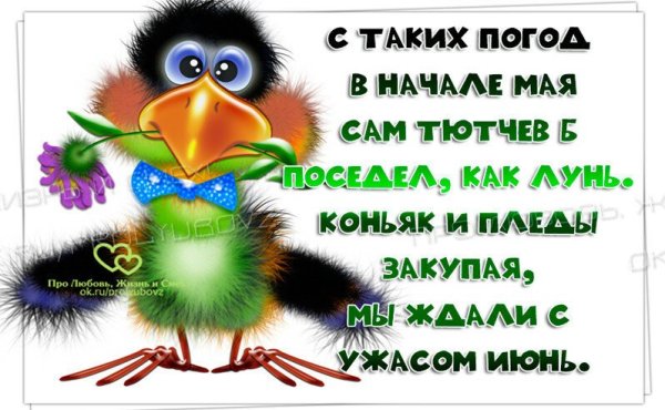 Статусы про погоду