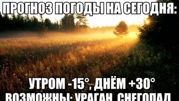 Смешные цитаты про погоду