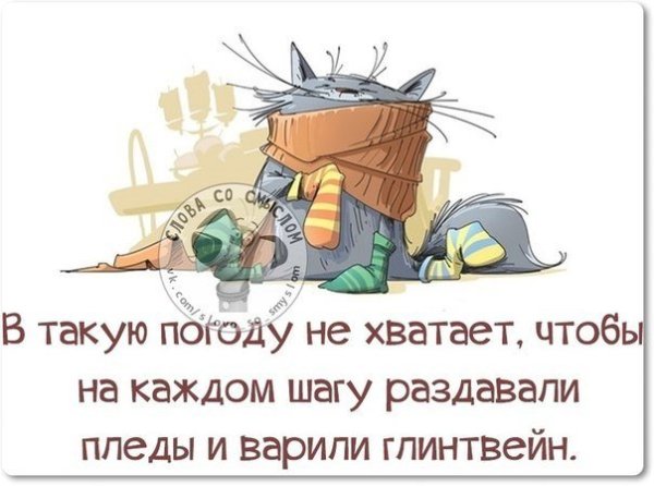 Высказывания про погоду прикольные