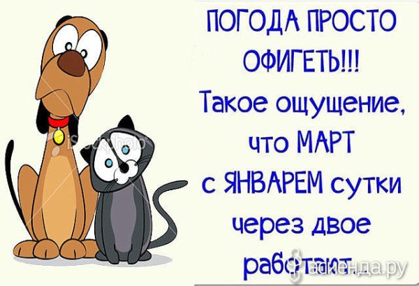 Открытки про погоду смешные