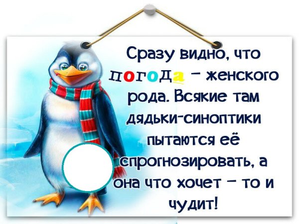 Смешные фразы про погоду