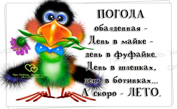 Открытки о погоде прикольные