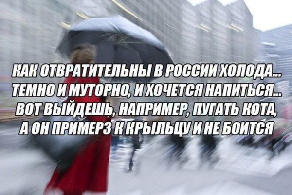 Приколы про погоду