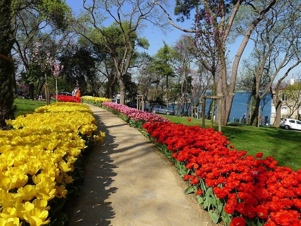 Парка Эмирган в Стамбуле