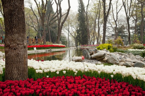 Парк Эмирган в Стамбуле