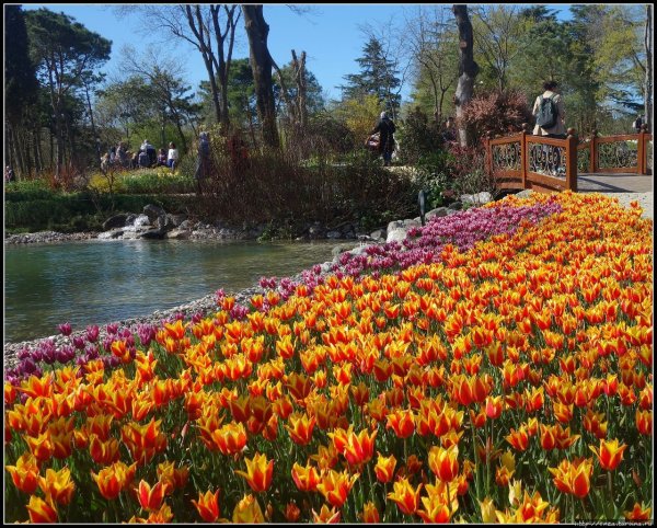 Парк Эмирган в Стамбуле