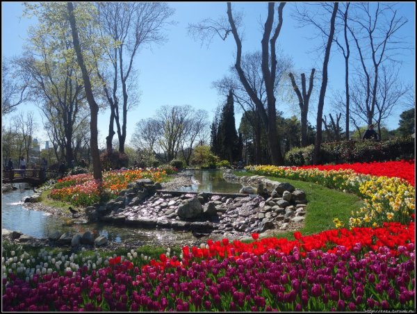 Парк Эмирган в Стамбуле зимой