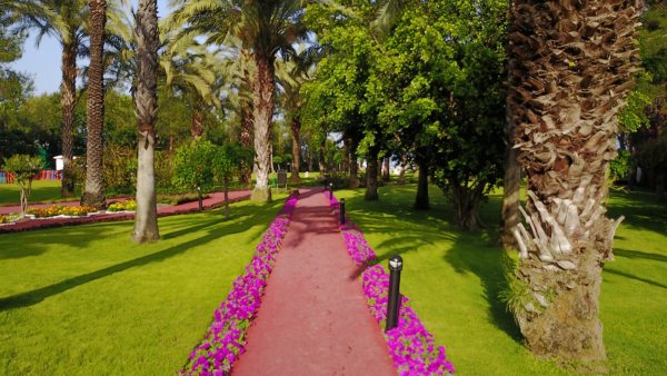 Квинс парк Гейнюк