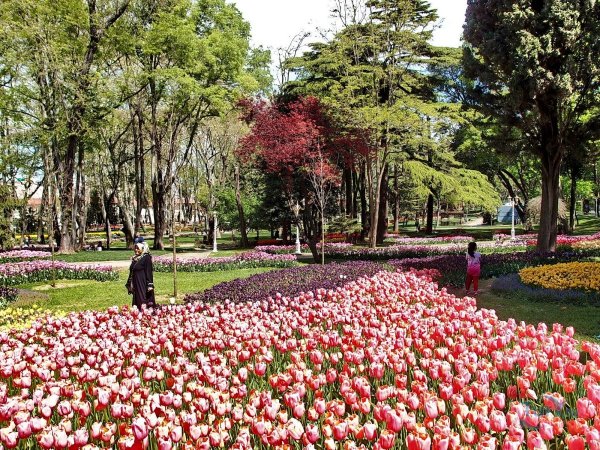 Турция парк Гюльхане