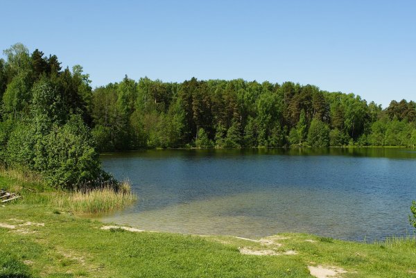 Озеро Светлояр Нижегородская область