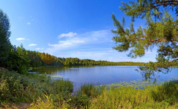 Светлояр озеро Нижний Новгород