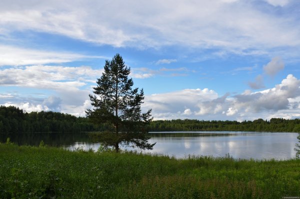 Озеро Китеж Нижегородская область
