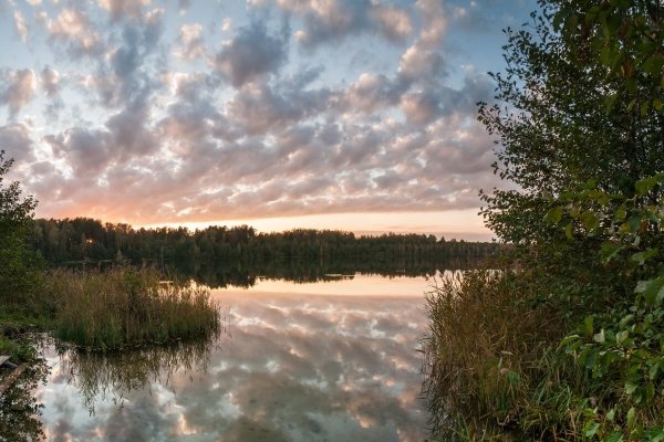 Светлоярское озеро Нижегородская область