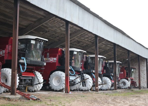 СПК Батаево Хотимский район
