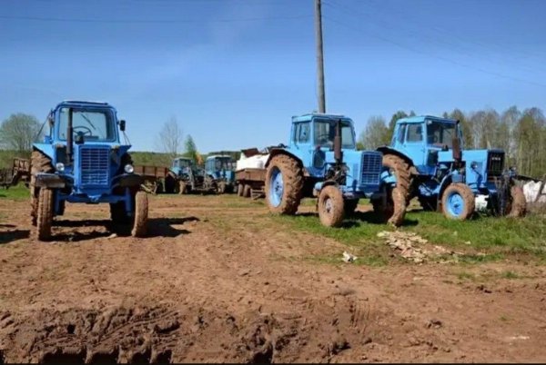 Трактор колхоз