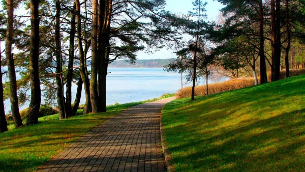 Картинки озеро Нарочь в Белоруссии